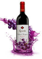 REVILO India: Vintage with a conscience