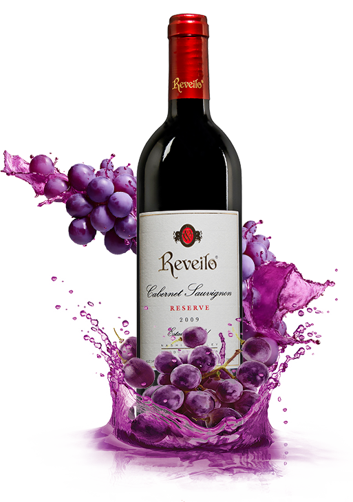 REVILO India: Vintage with a conscience
